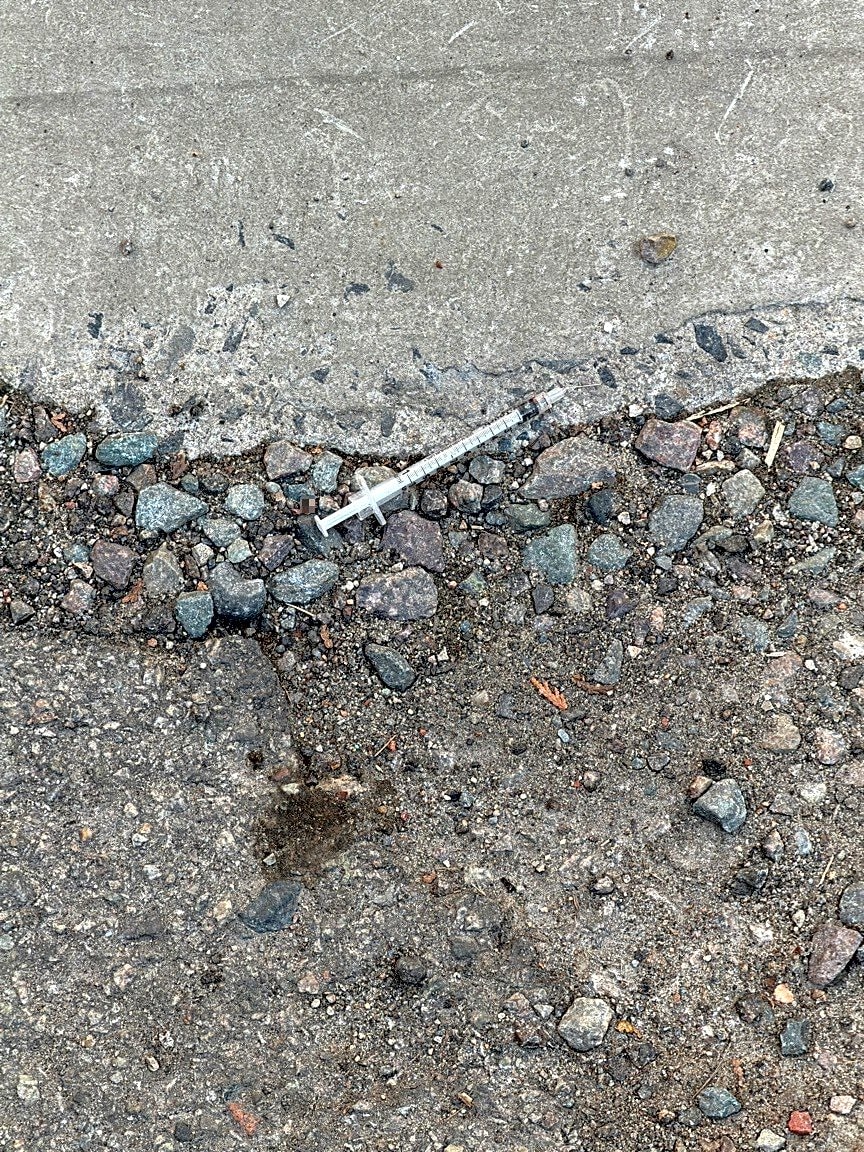 Image submitted with report