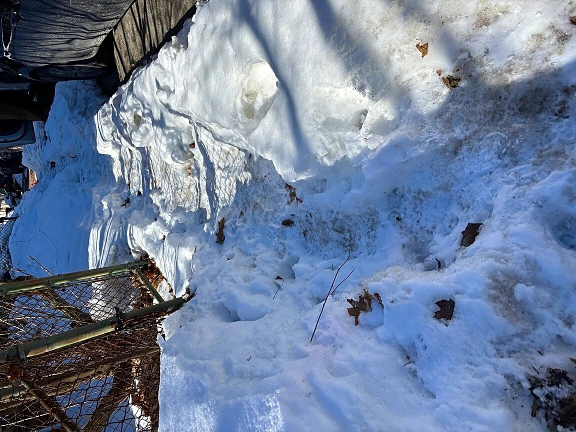 Image submitted with report