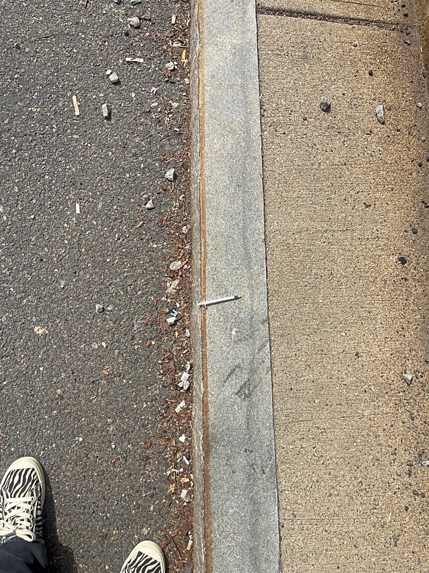 Image submitted with report