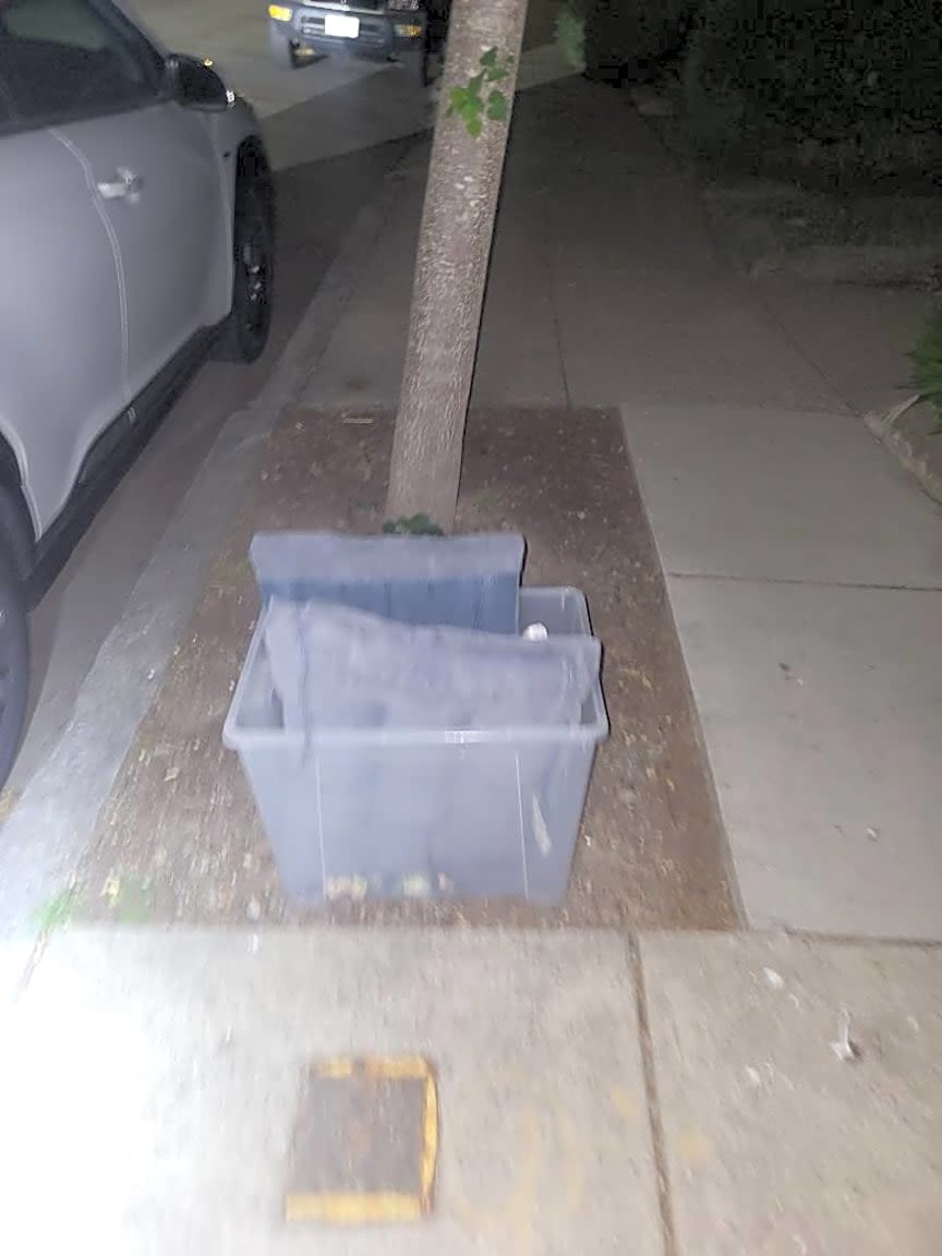 Image submitted with report