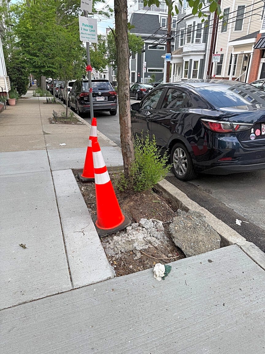 Image submitted with report