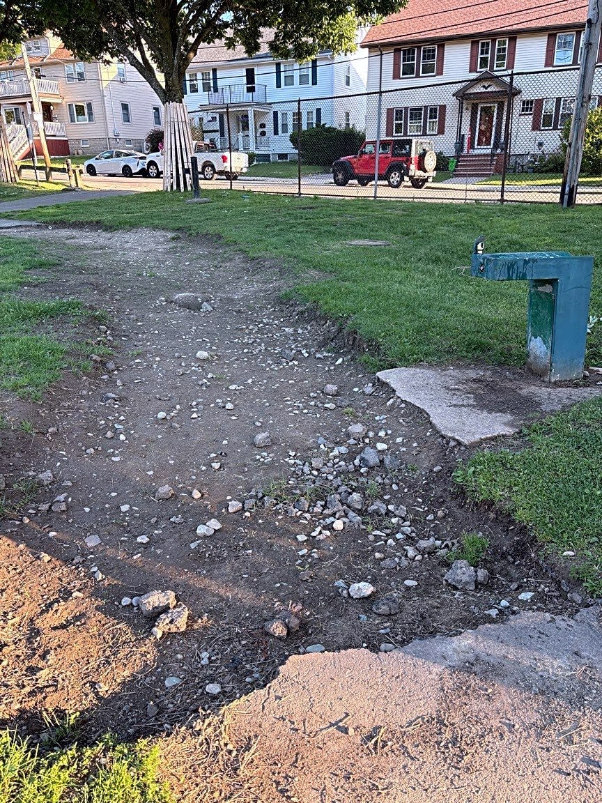 Image submitted with report
