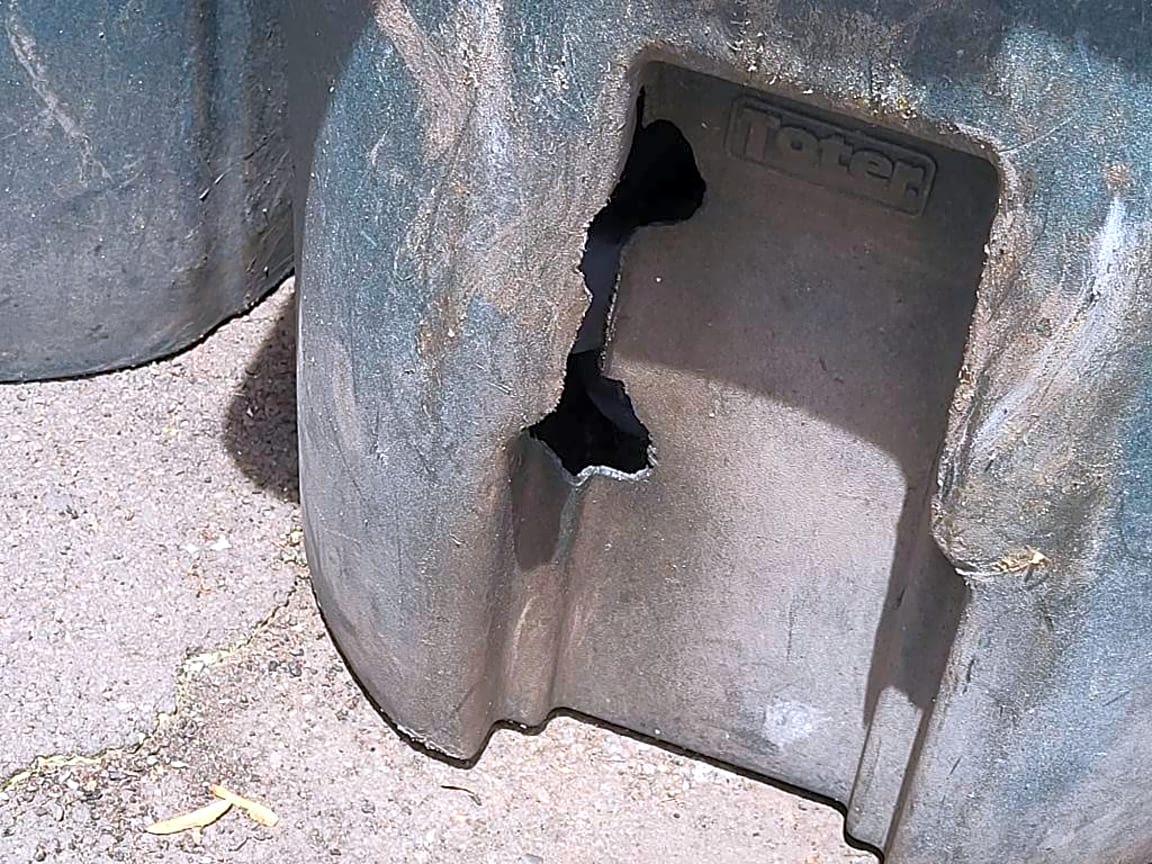 Image submitted with report