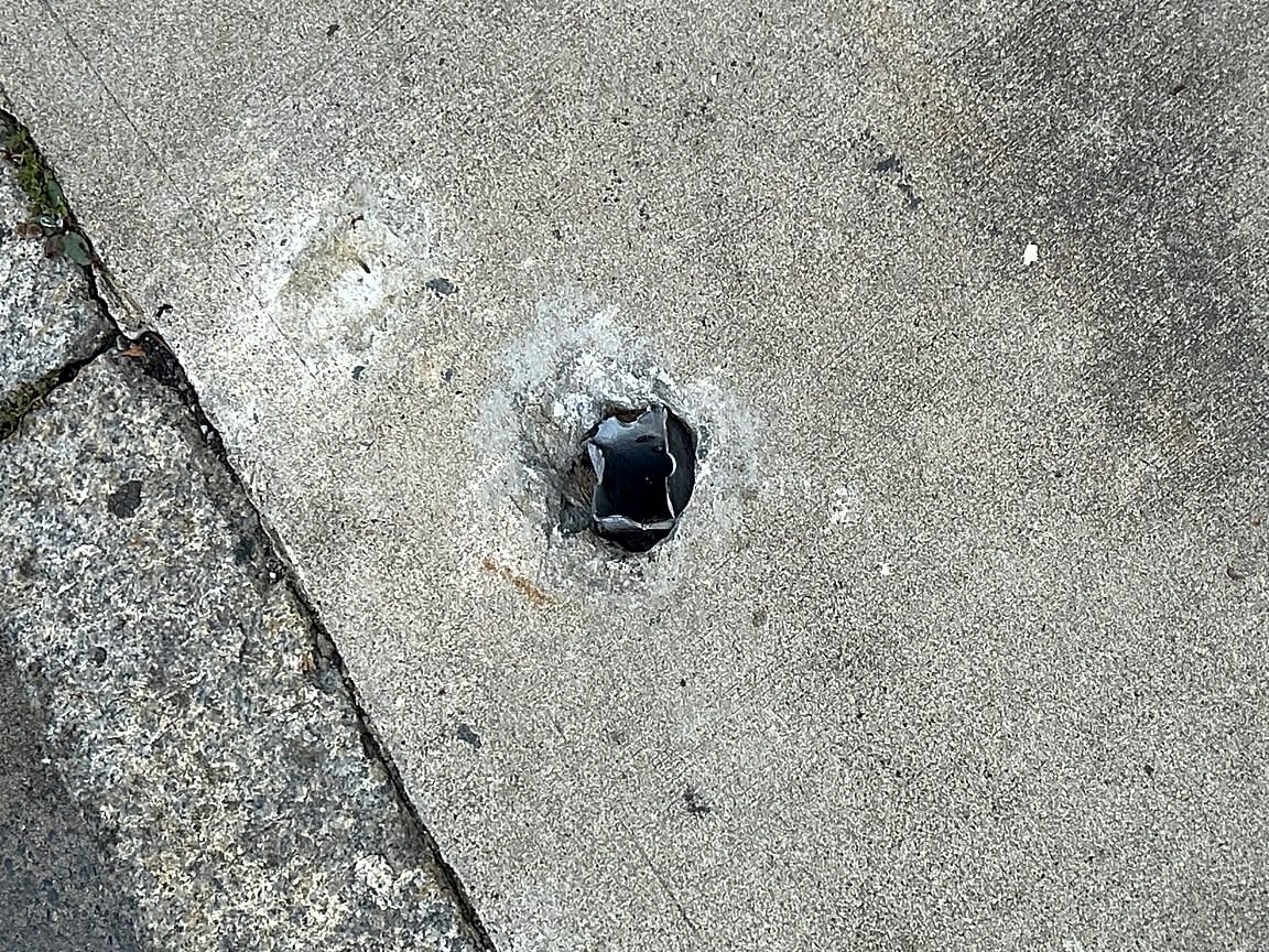 Image submitted with report