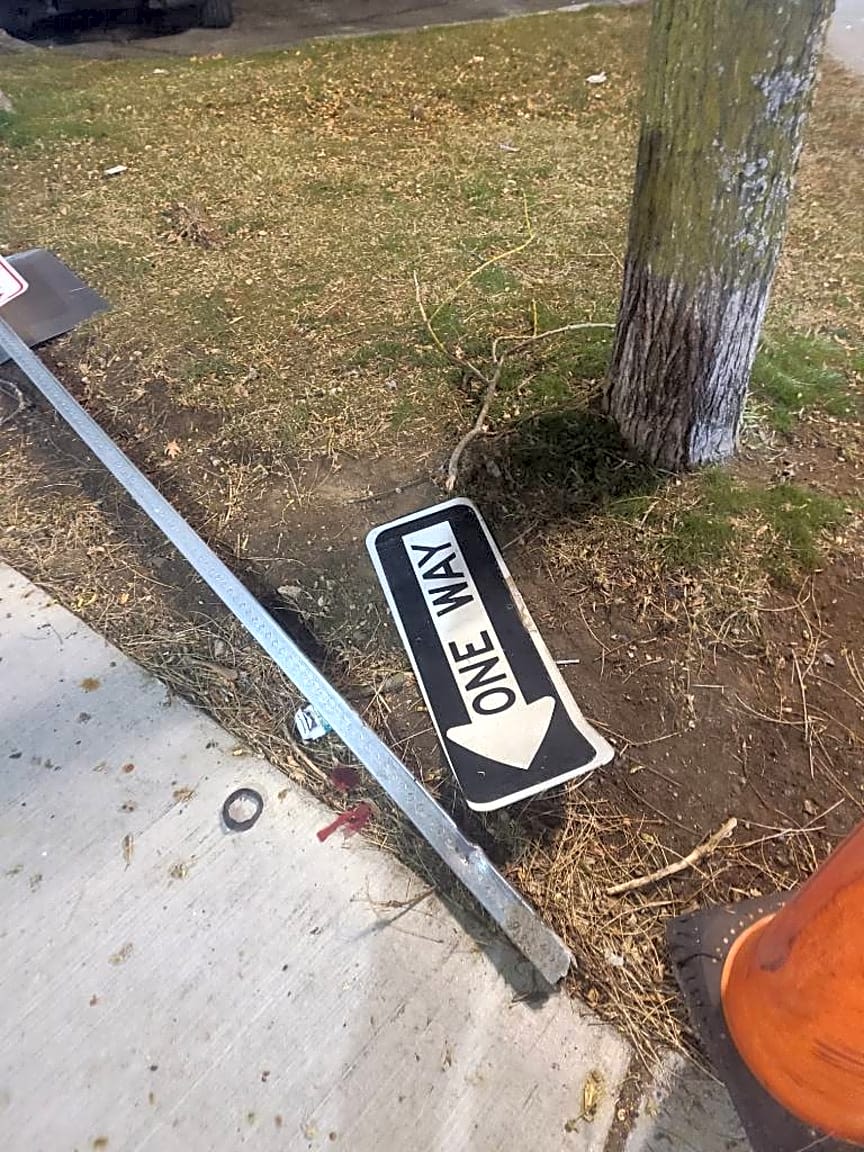 Image submitted with report