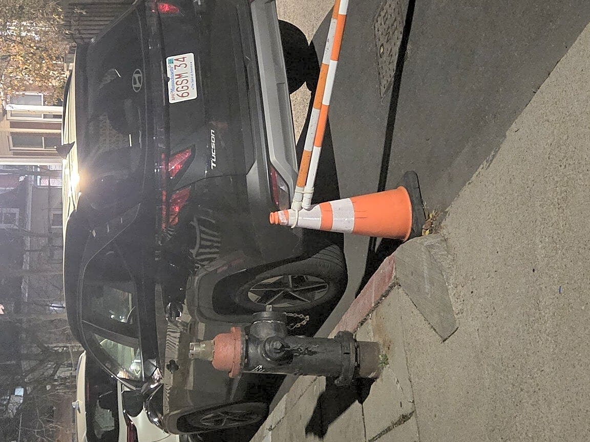 Image submitted with report