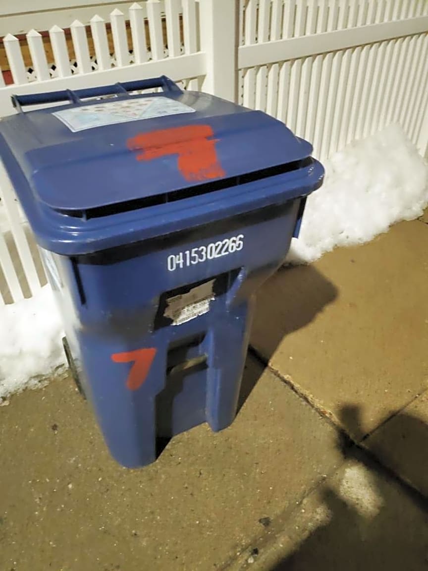 Image submitted with report