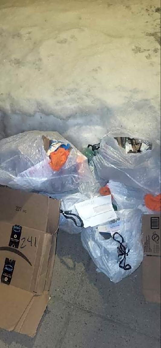 Image submitted with report