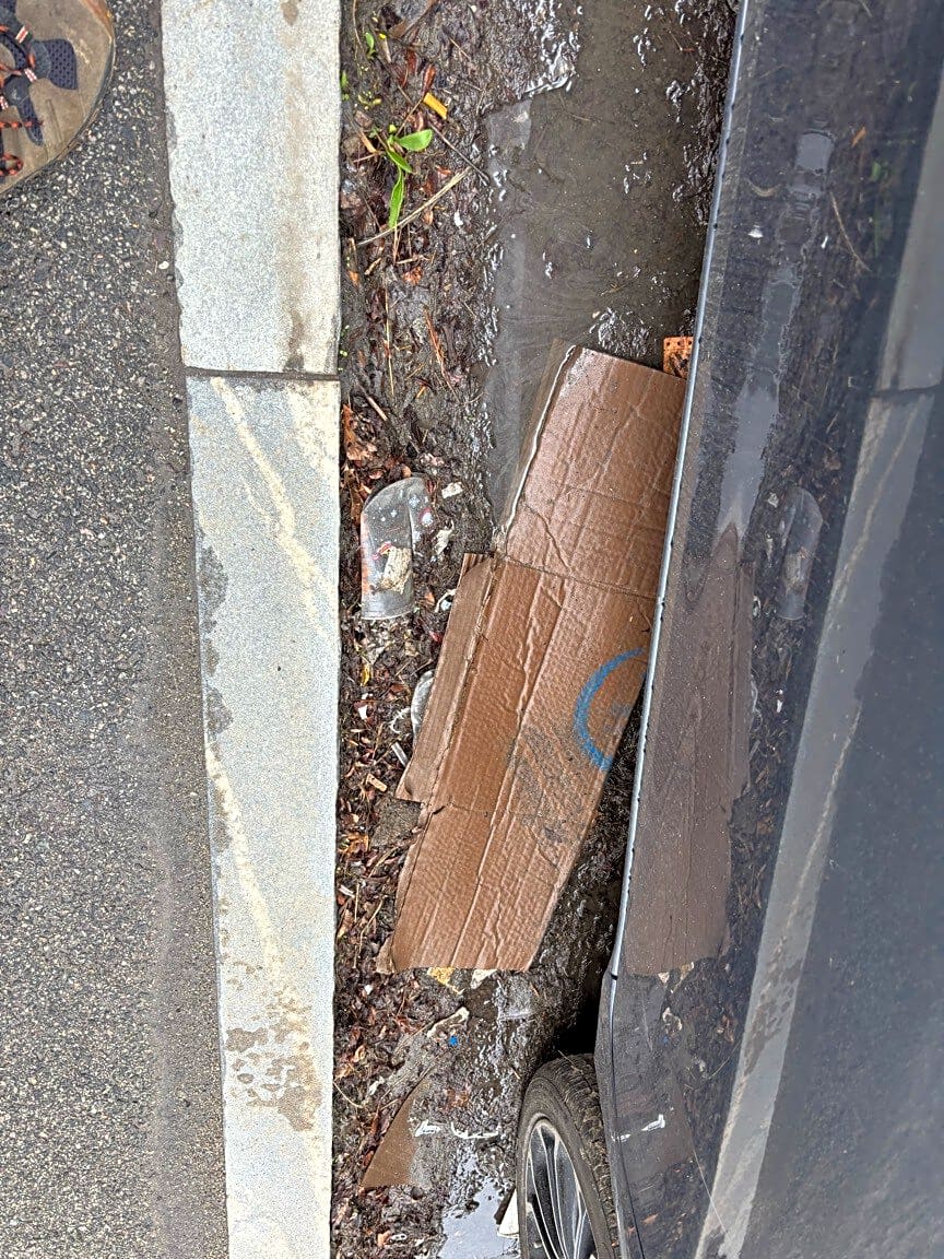 Image submitted with report