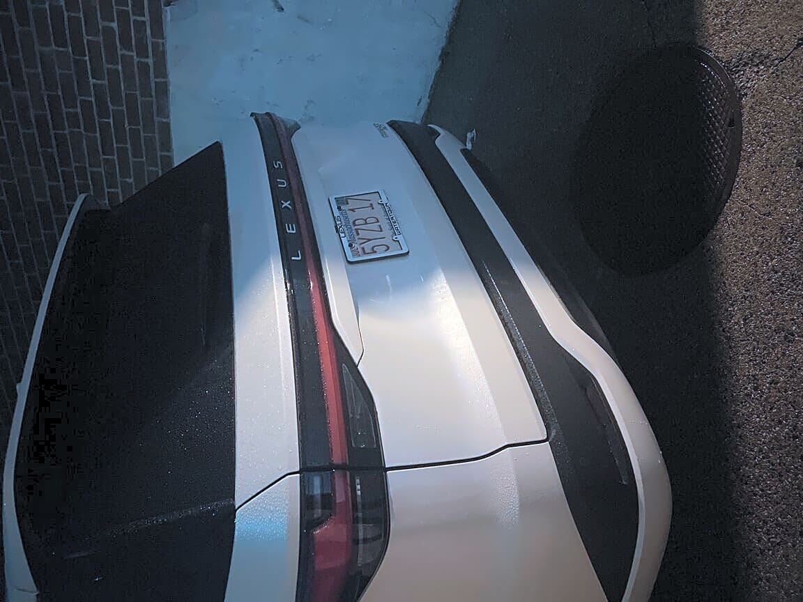 Image submitted with report