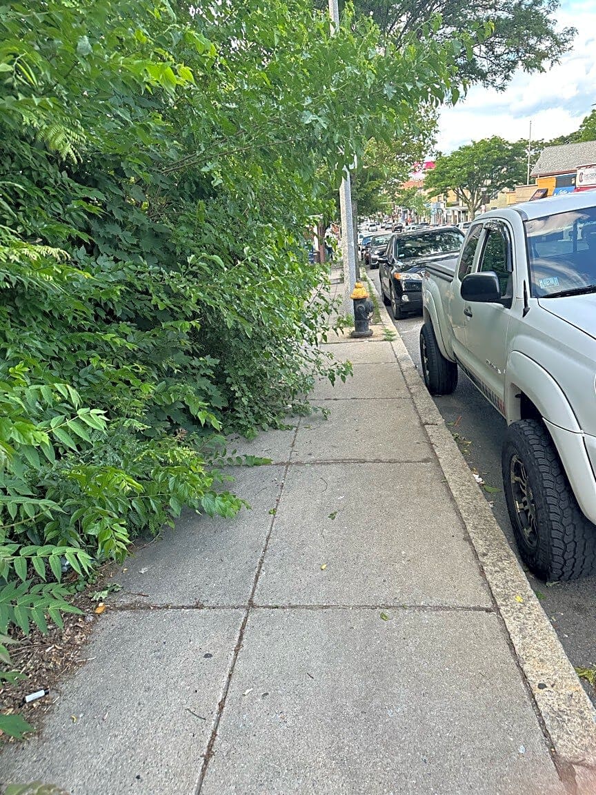 Image submitted with report