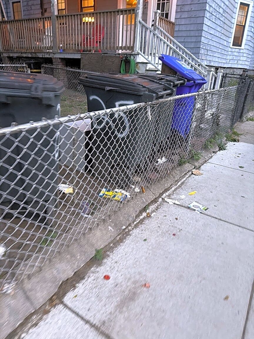 Image submitted with report