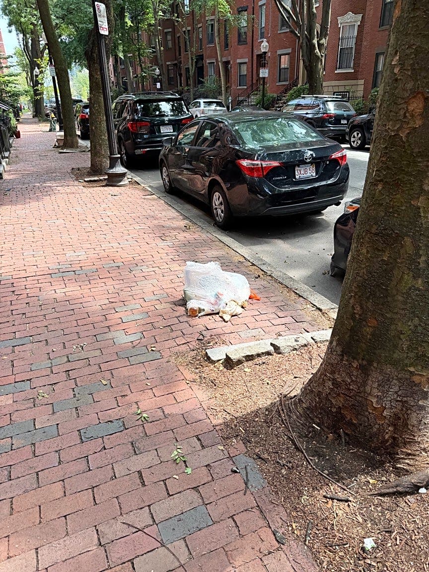 Image submitted with report