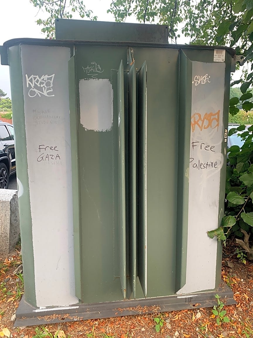 Image submitted with report