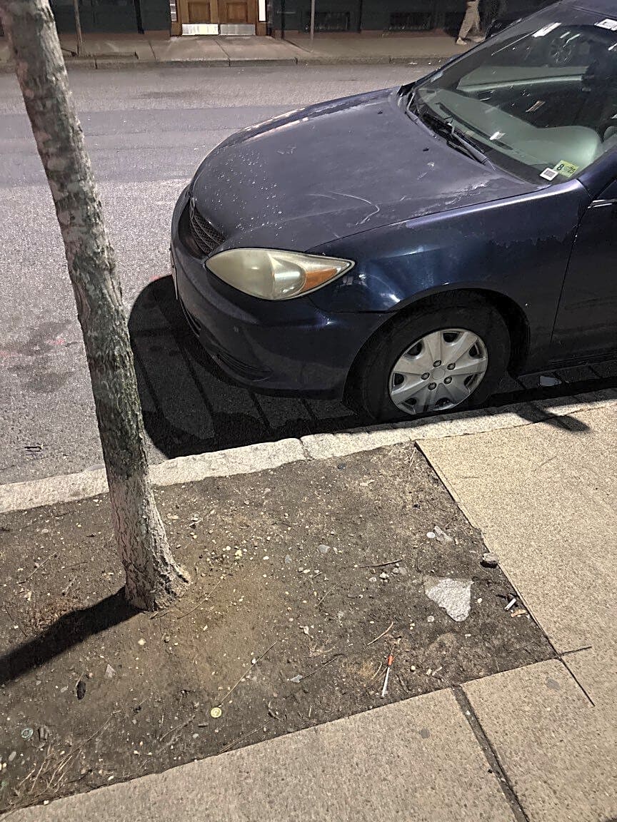 Image submitted with report