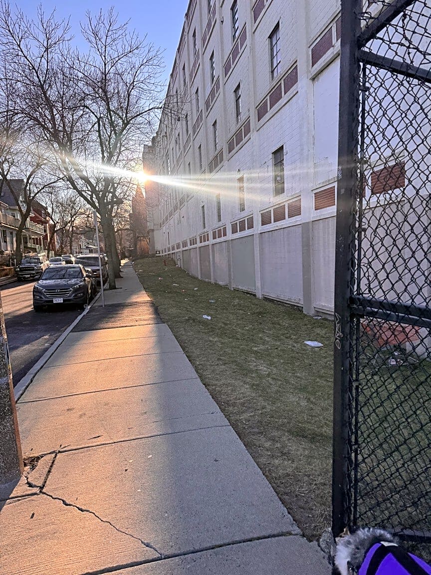 Image submitted with report