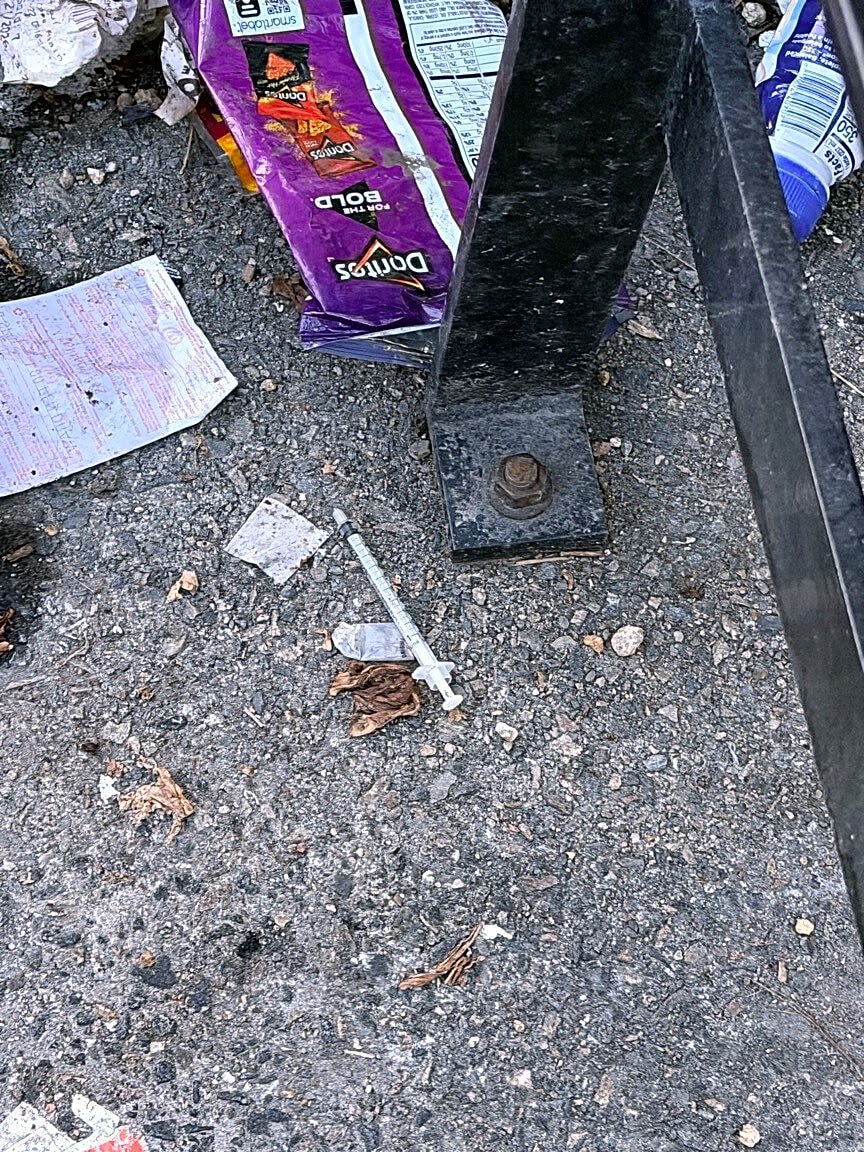 Image submitted with report