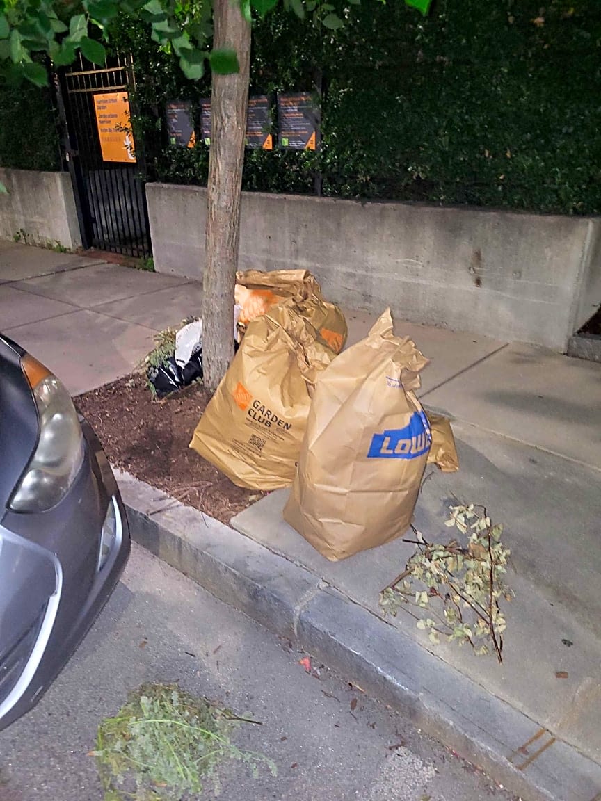 Image submitted with report