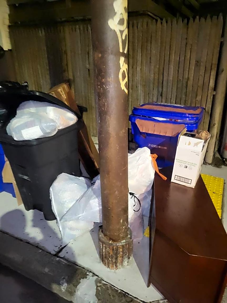 Image submitted with report