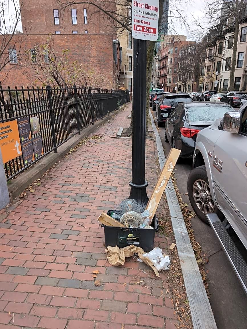 Image submitted with report