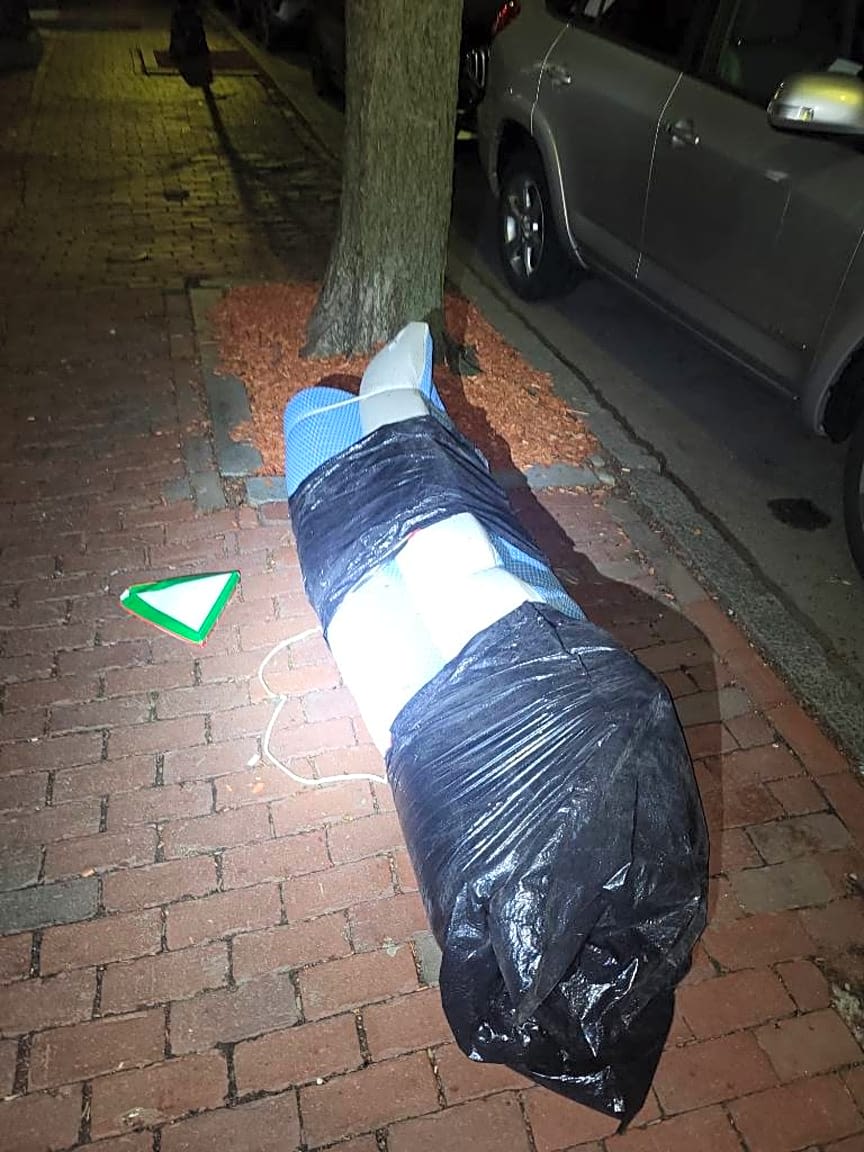 Image submitted with report