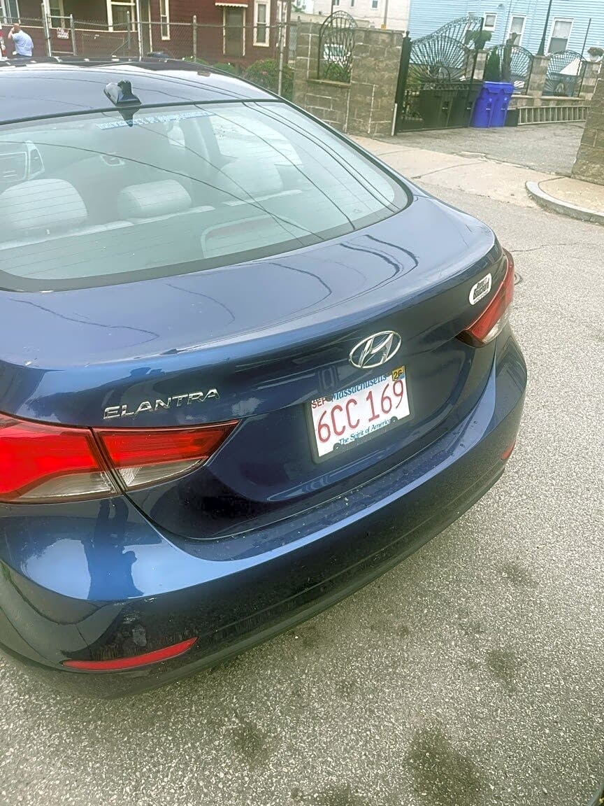 Image submitted with report