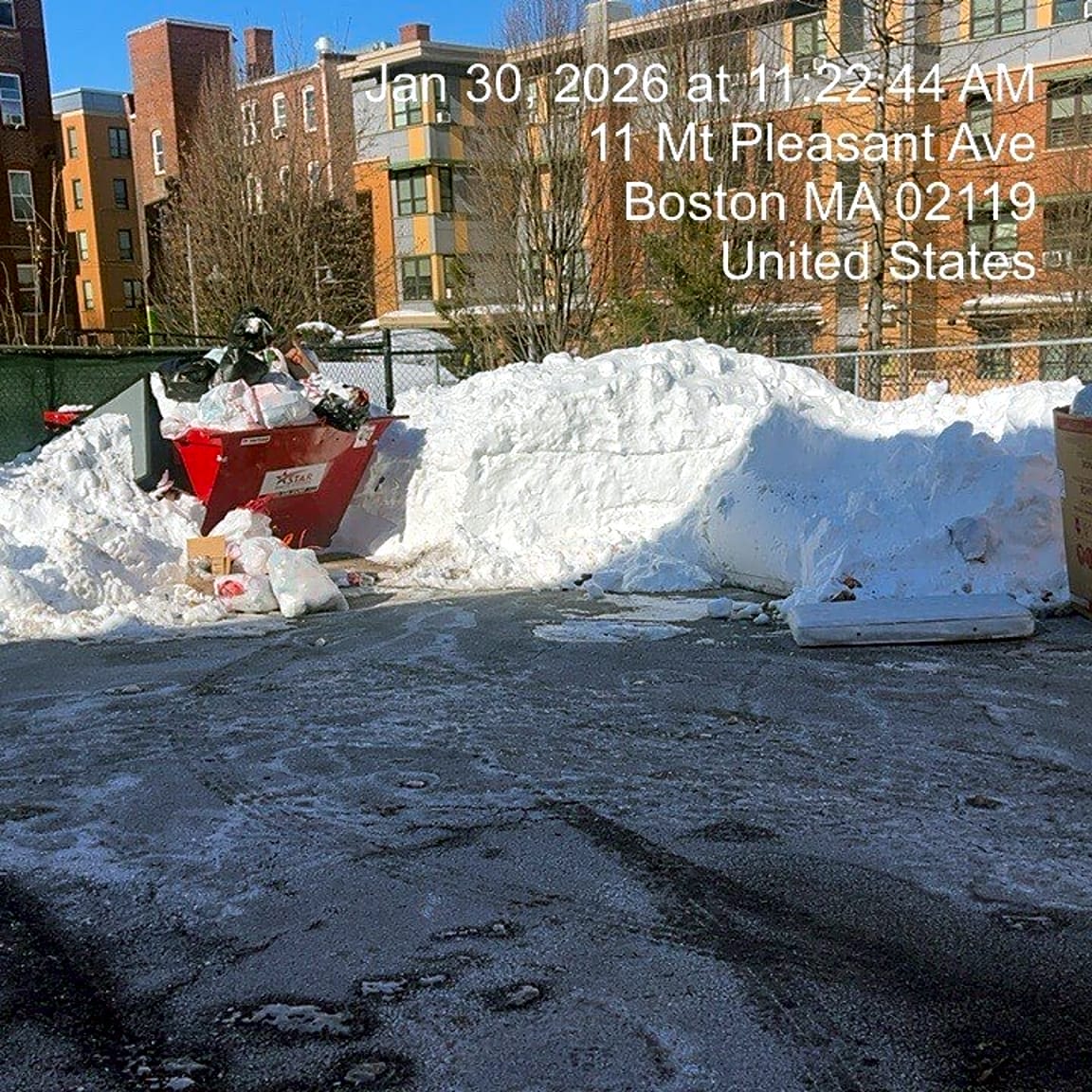 Image submitted with report