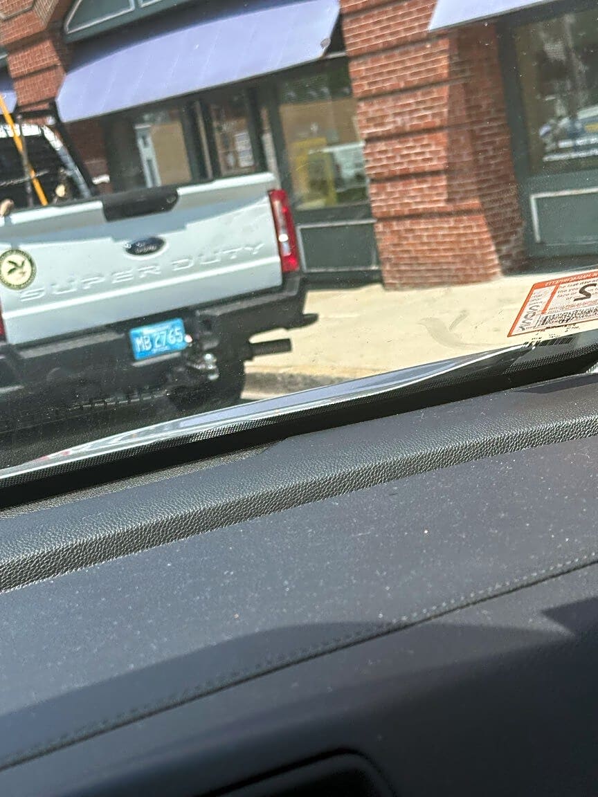 Image submitted with report
