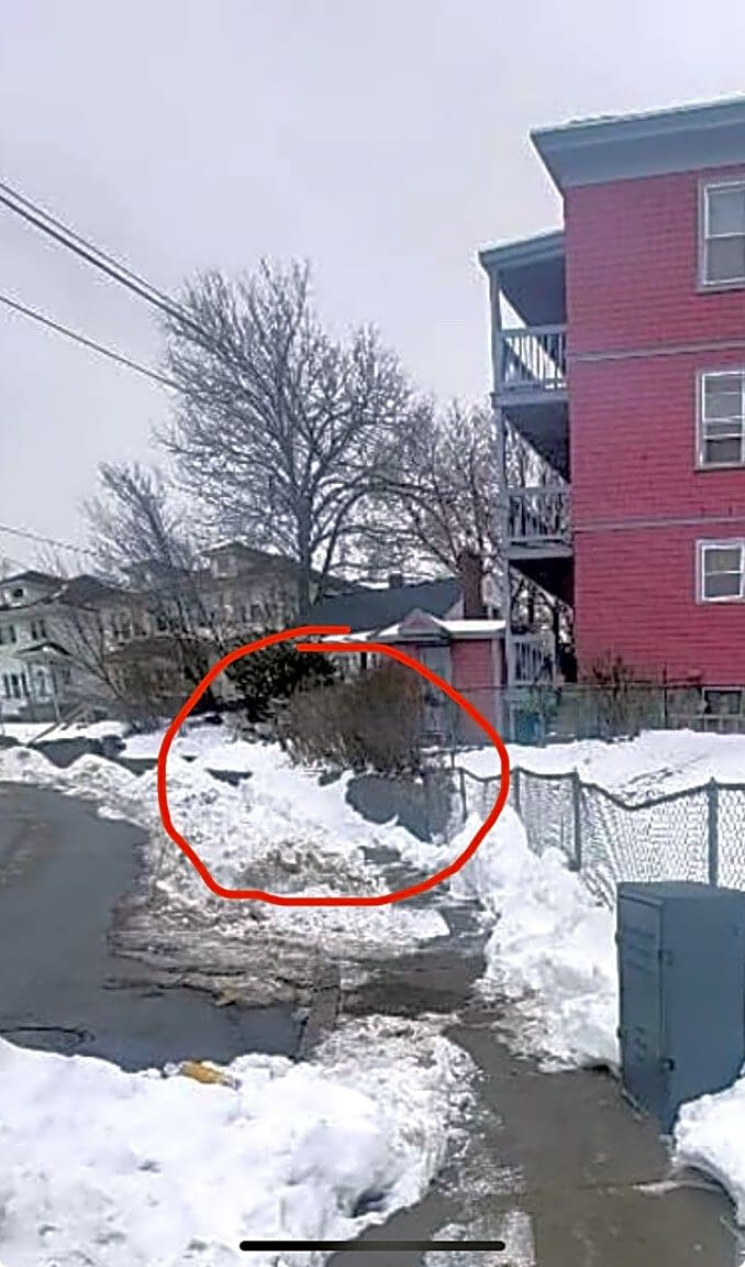 Image submitted with report