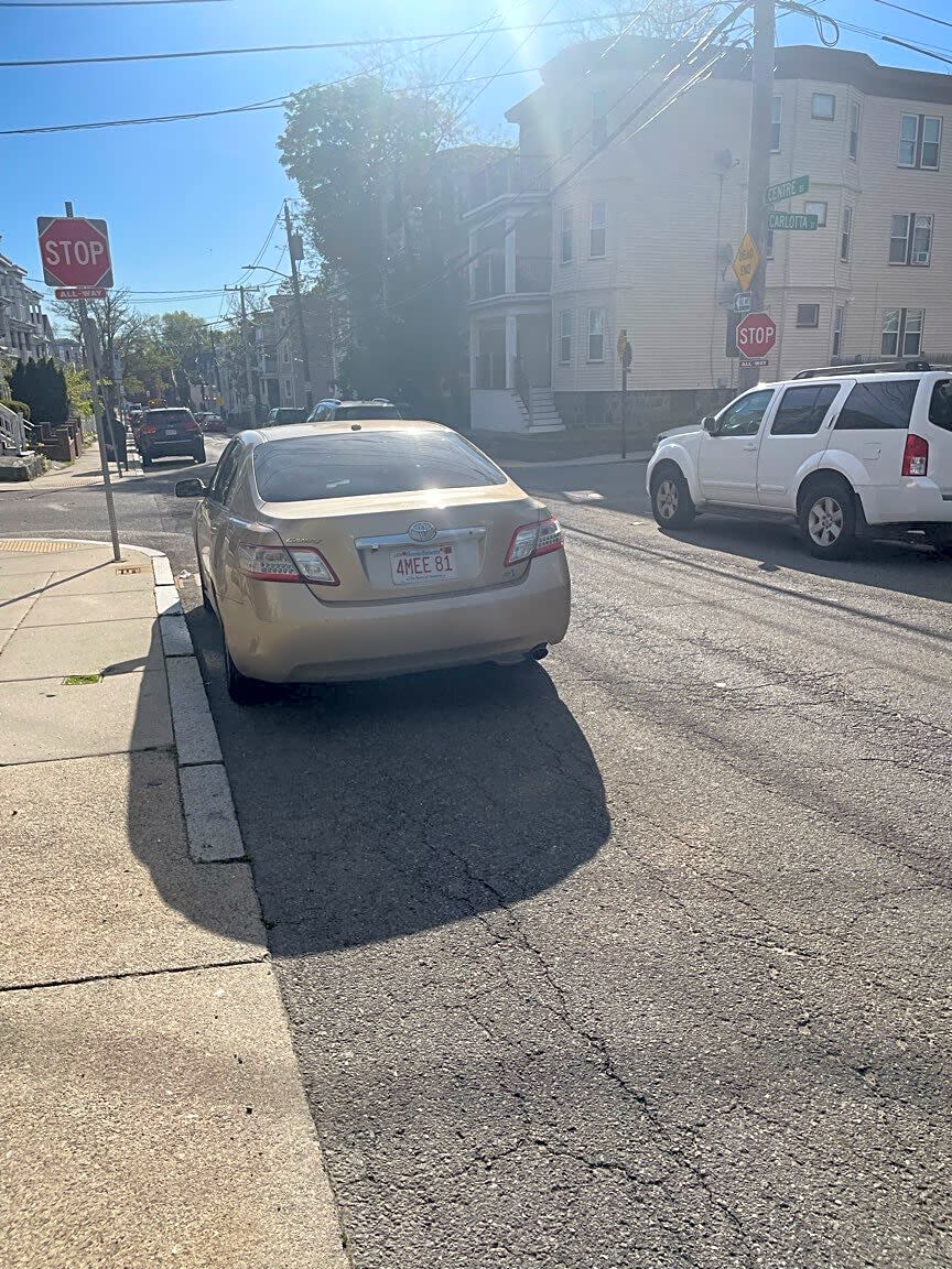 Image submitted with report