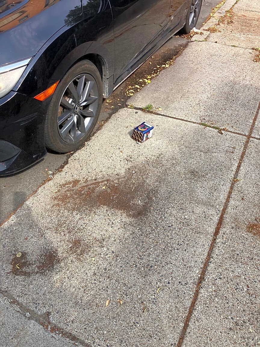 Image submitted with report