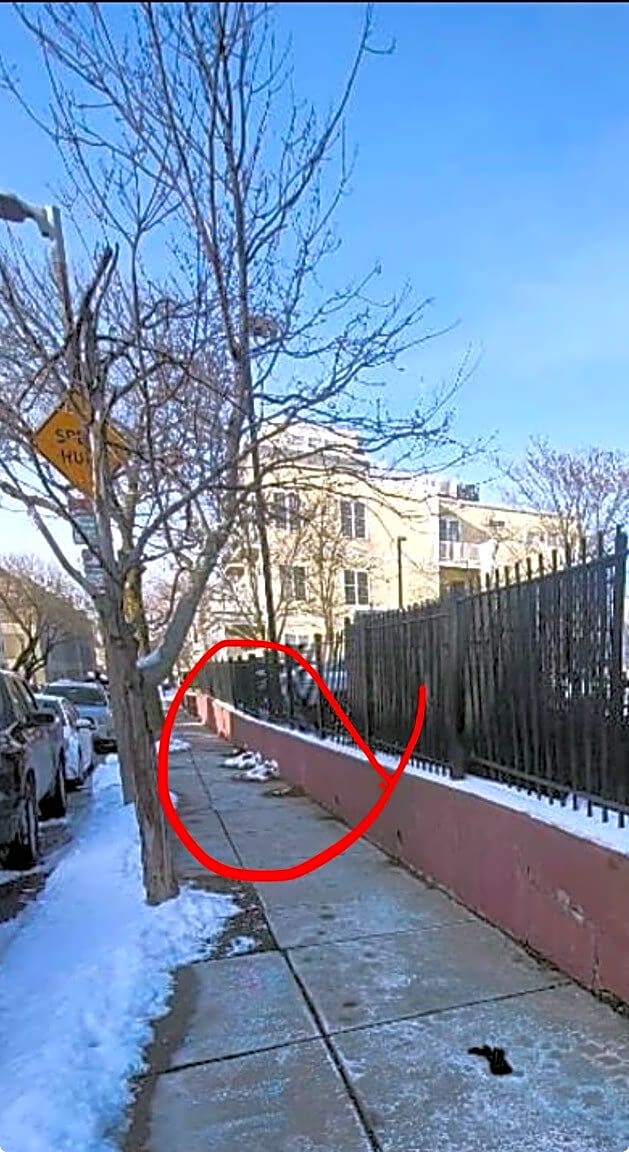 Image submitted with report