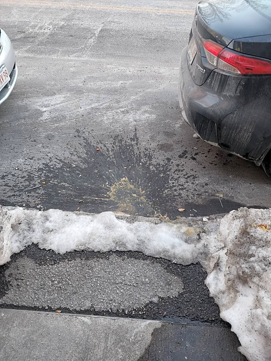 Image submitted with report