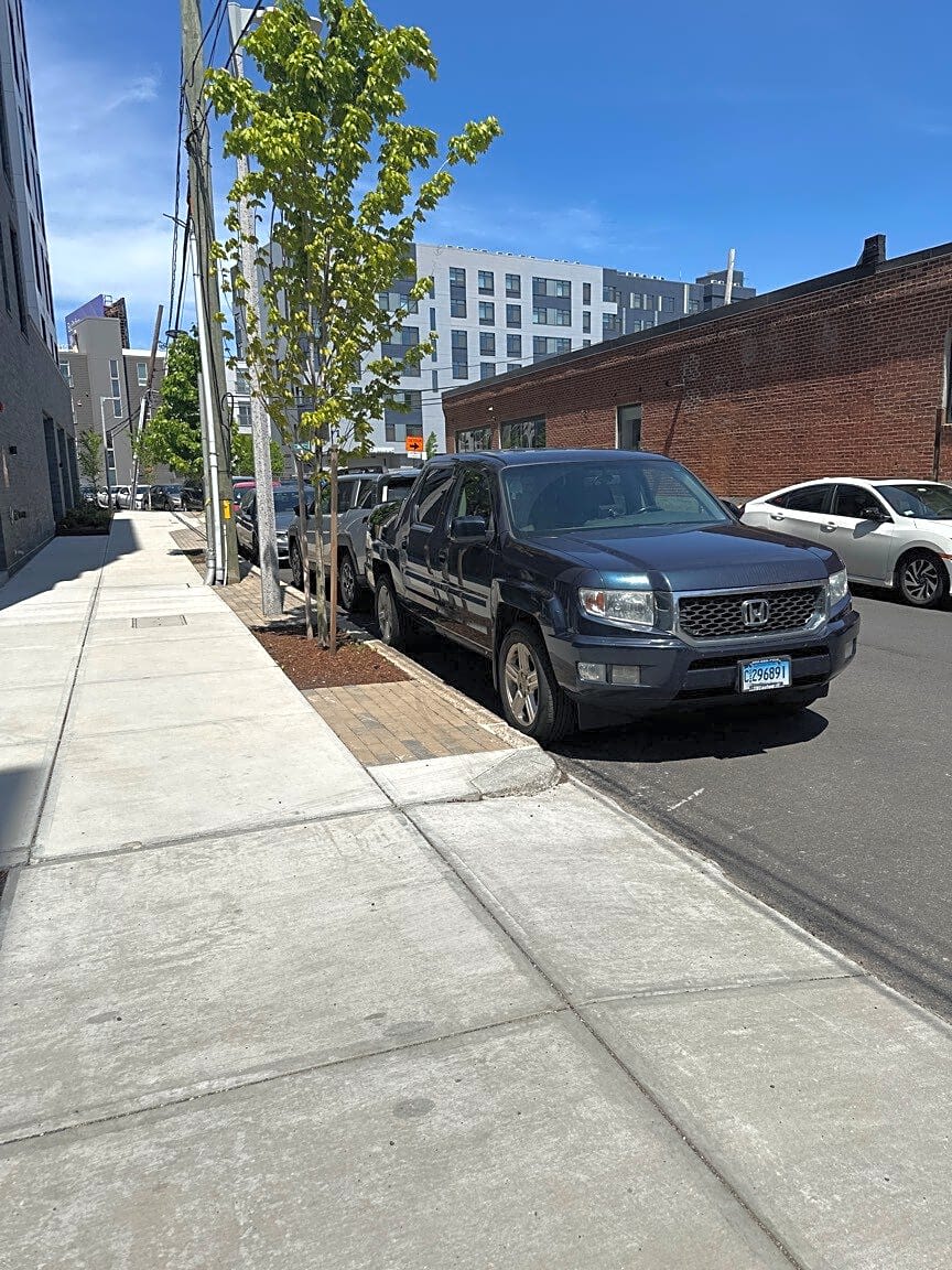 Image submitted with report