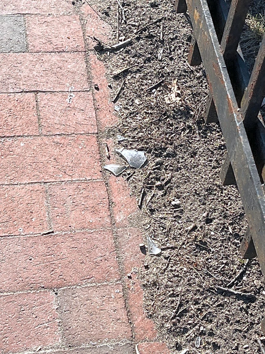 Image submitted with report