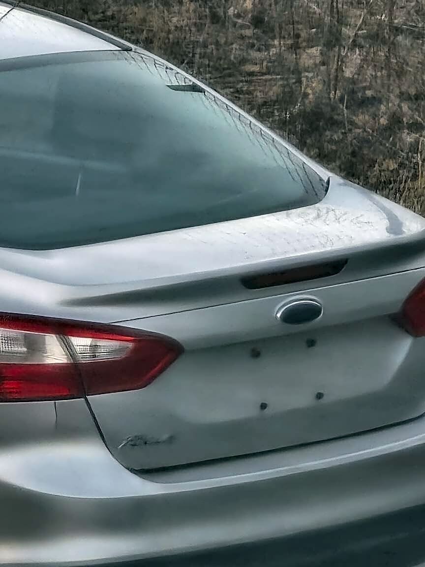 Image submitted with report