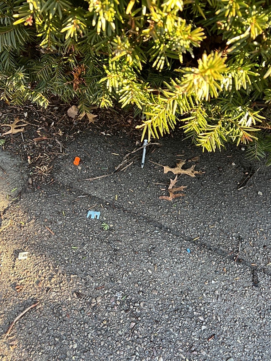 Image submitted with report