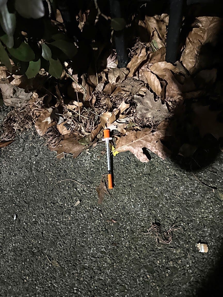 Image submitted with report