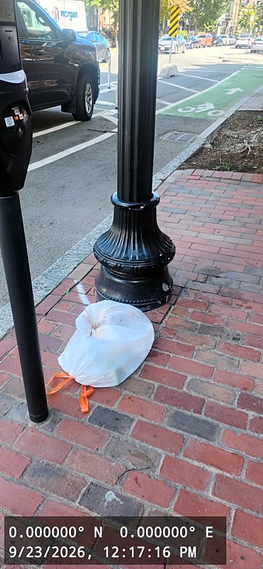 Image submitted with report