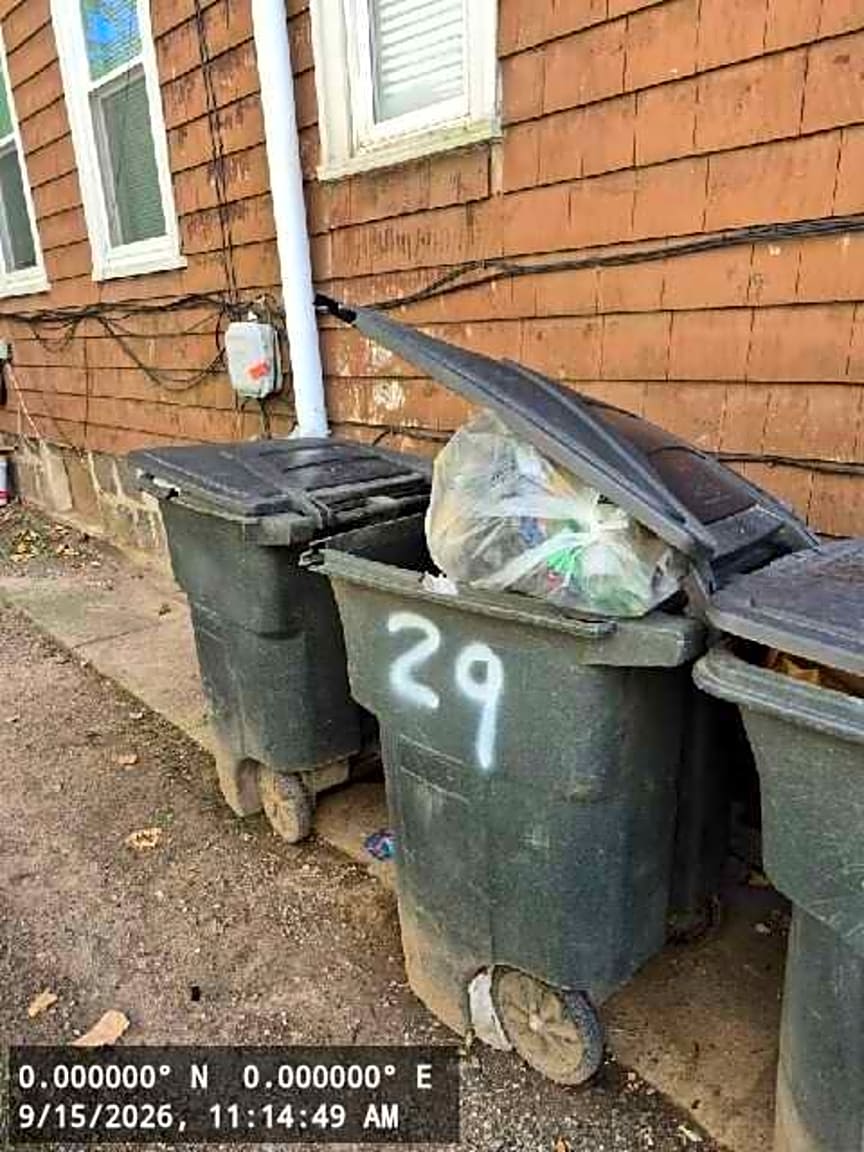 Image submitted with report