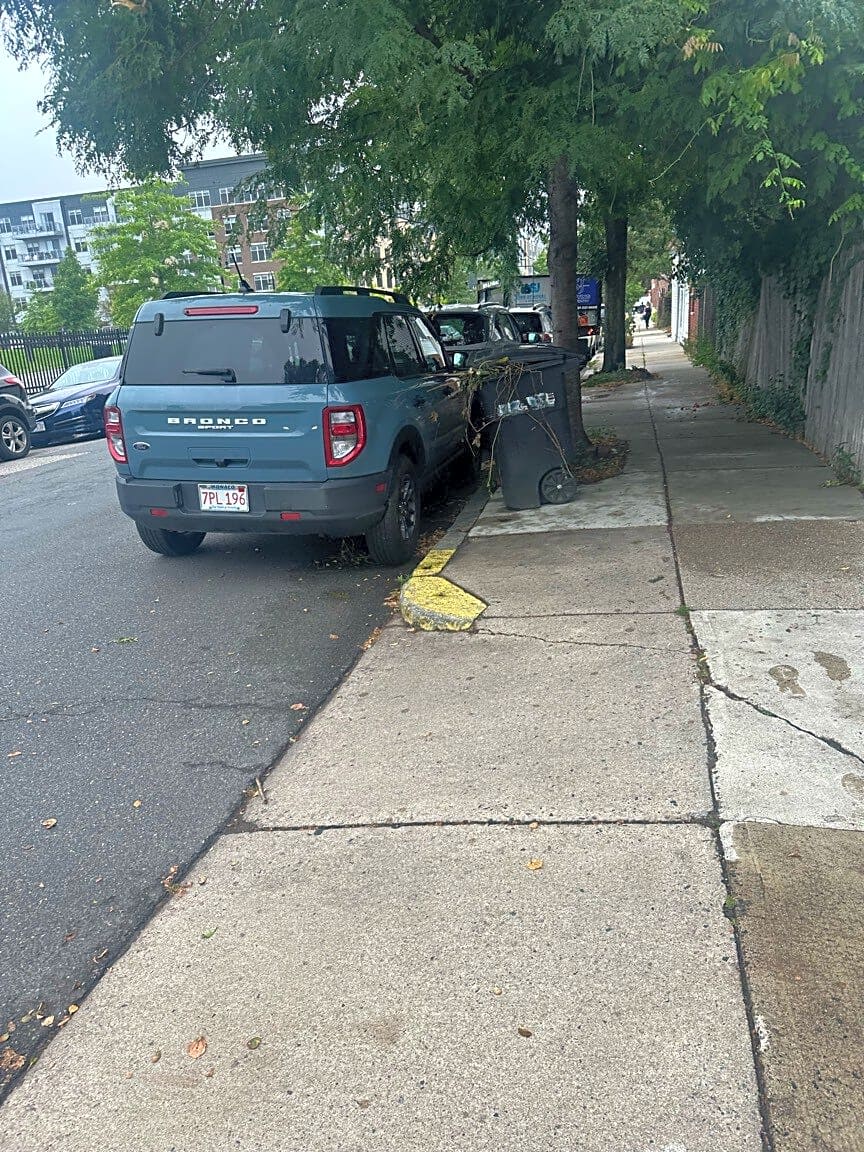 Image submitted with report