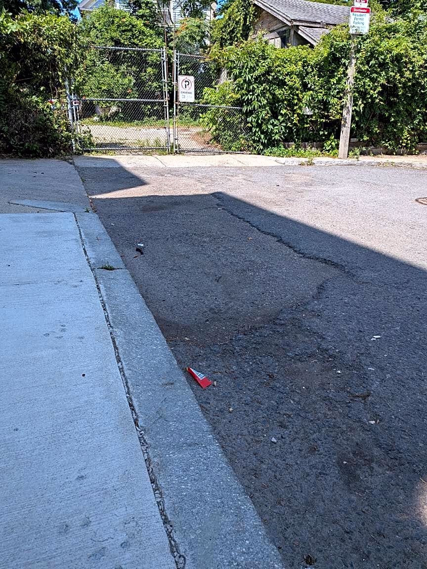 Image submitted with report