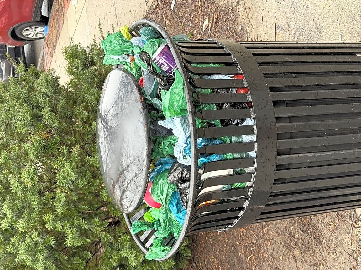 Image submitted with report