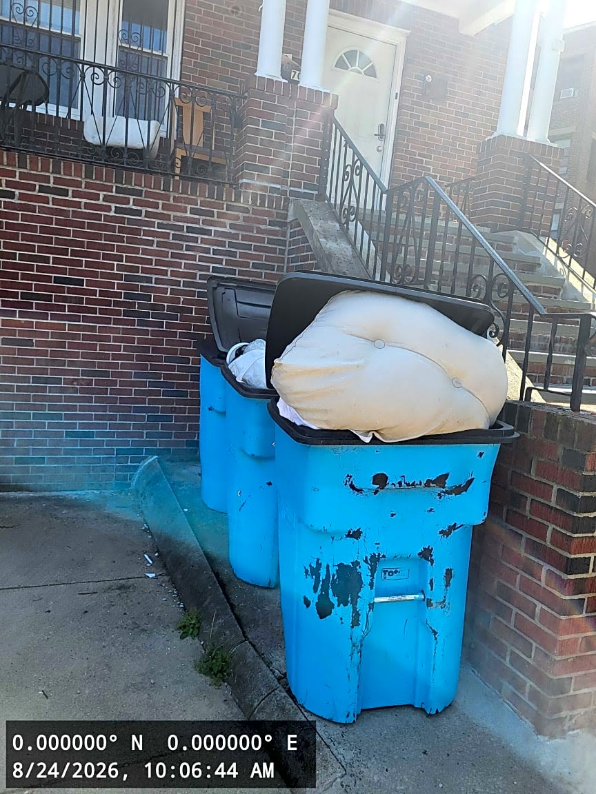 Image submitted with report