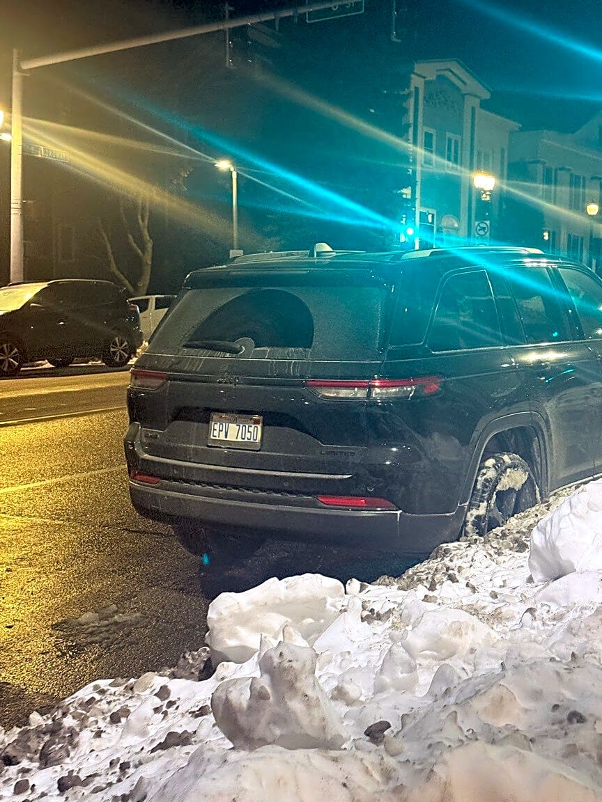 Image submitted with report