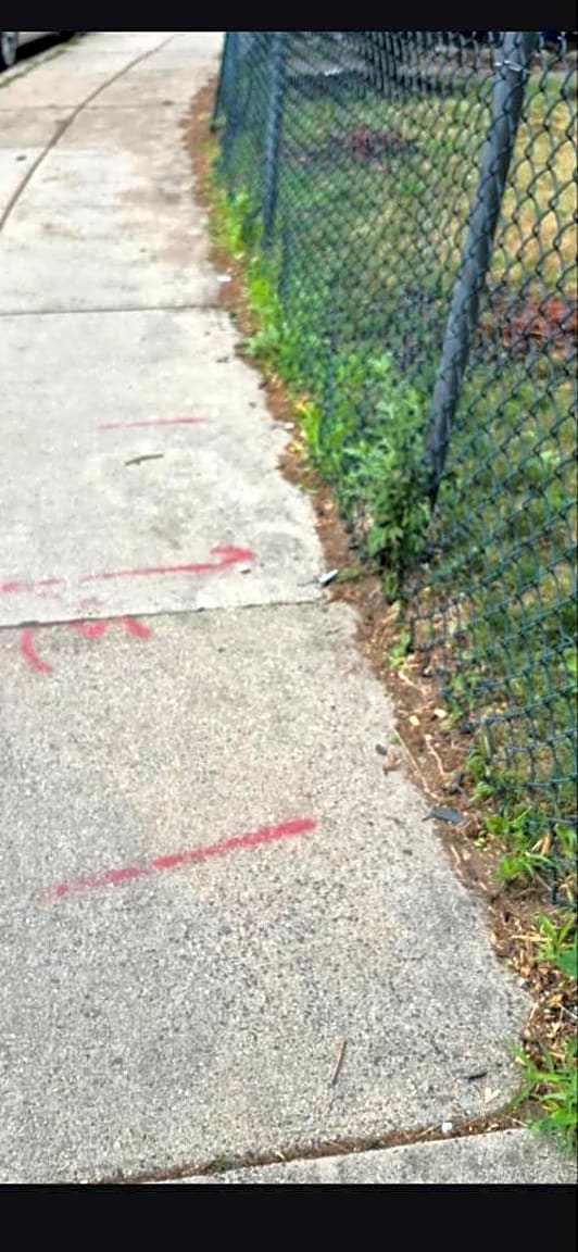 Image submitted with report