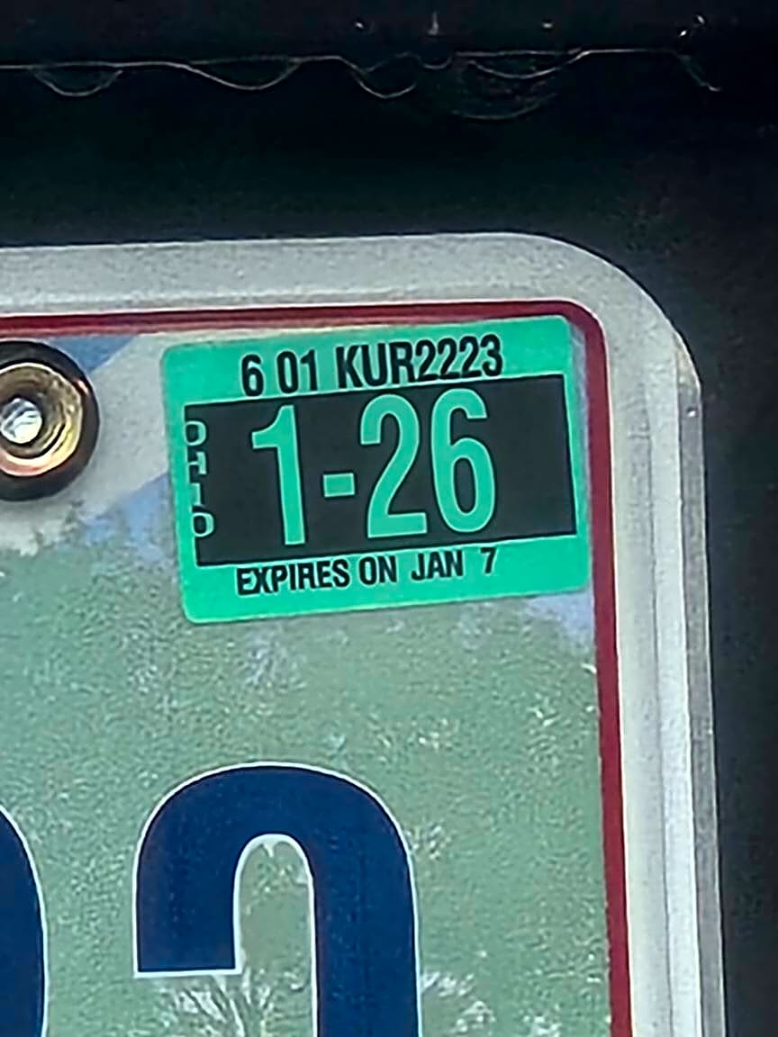 Image submitted with report