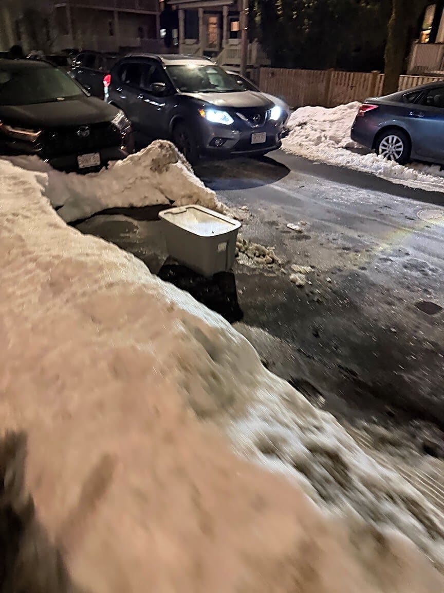 Image submitted with report