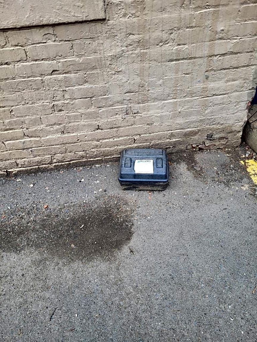 Image submitted with report