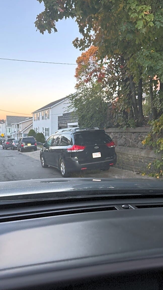 Image submitted with report
